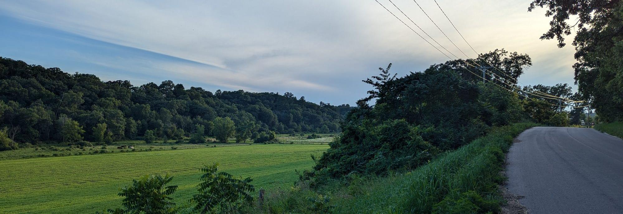 Evening light over a hayfield and wooded ridge, seen from the shoulder of a two-lane road in midsummer.
